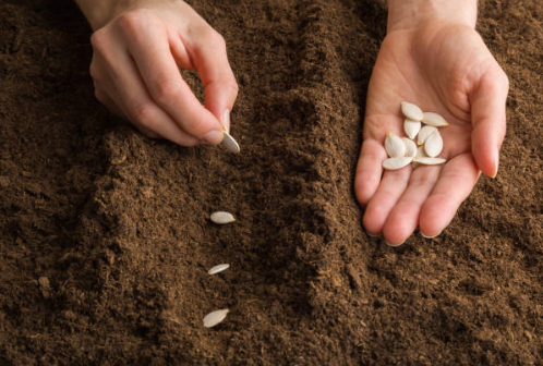 BookYourVoice Podcast